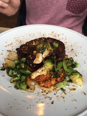 The Culpeper by null