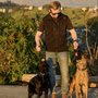 Camp Canine Training