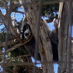 Wildlife West Nature Park