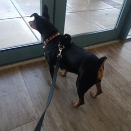 Getting our annual check up!