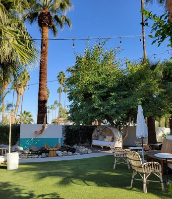 Dive Palm Springs by null