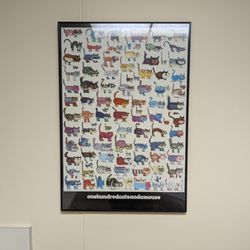 Robert Dekkers, MD - Exam room for Cats