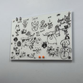 PetSmart Veterinary Services - Cute office doodles - Veterinarians Near Me - Raleigh, North Carolina PetSmart Veterinary Services - Cute office doodles - Veterinarians Near Me - Raleigh, North Carolina
