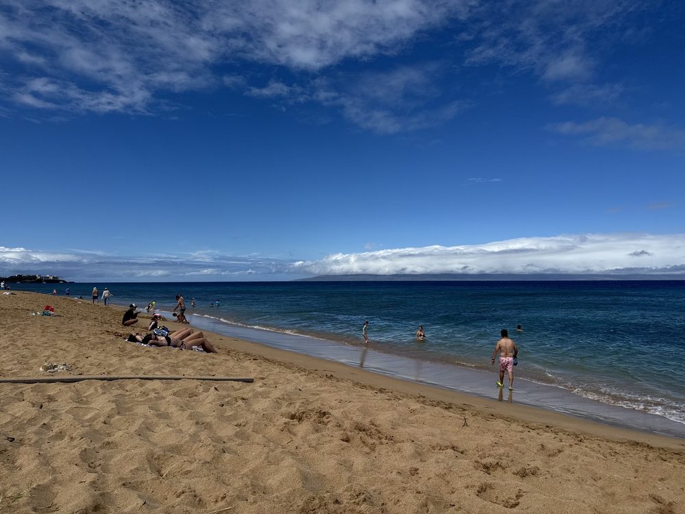Wills Beach Logo