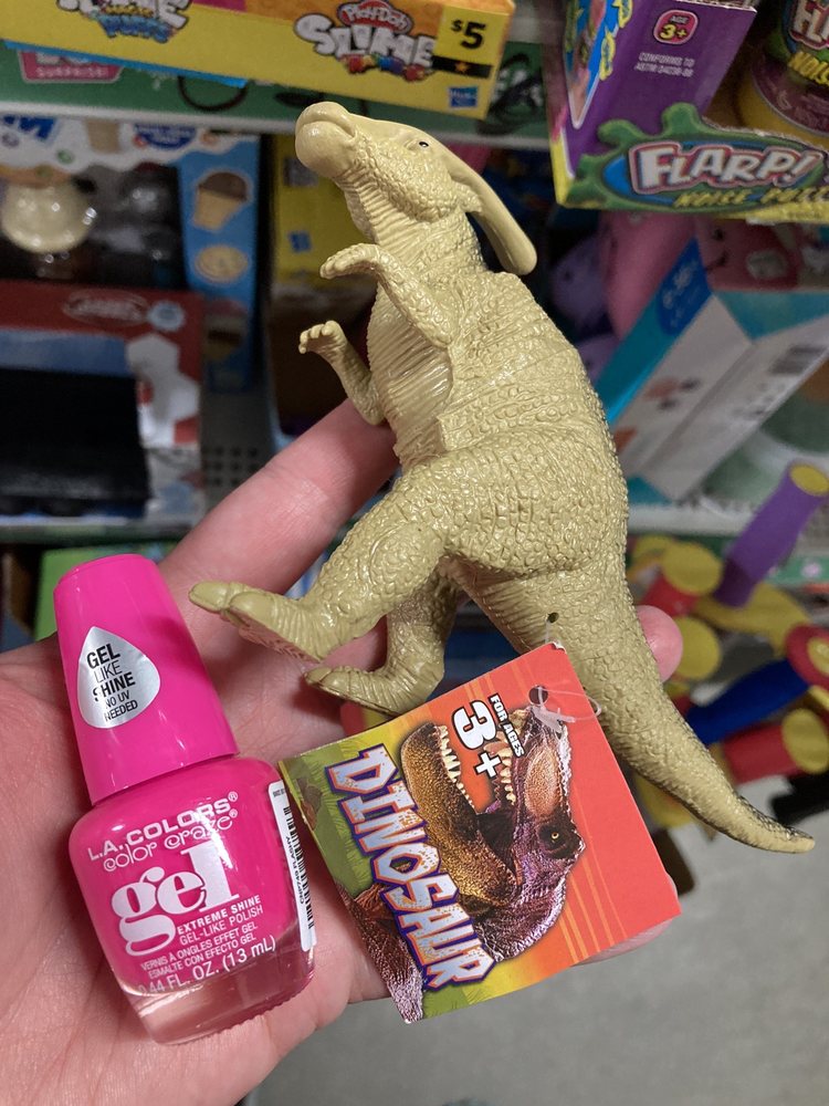 Dollar General Image