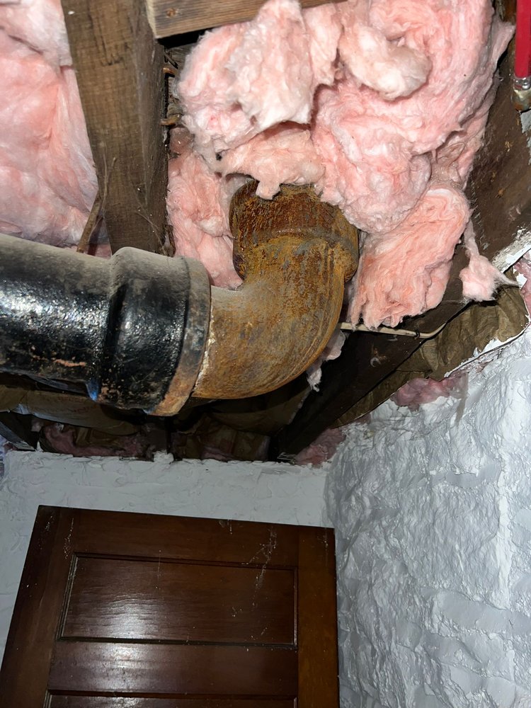 Slide of Master Rooter