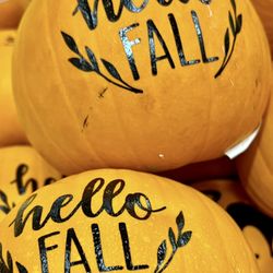 Winn-Dixie - "Orange you glad" (｡^‿^｡)  #autumn is here. It's been #Fall in my mind for awhile but I'm glad it's official now.