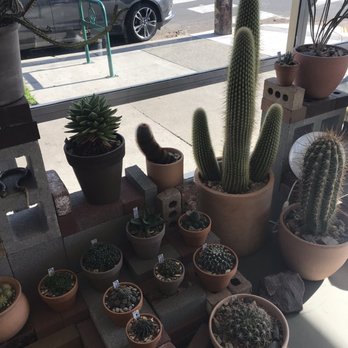 Public Land Store - I'll take one of each!! - Nurseries & Gardening Near Me - Sacramento, California Public Land Store - I'll take one of each!! - Nurseries & Gardening Near Me - Sacramento, California