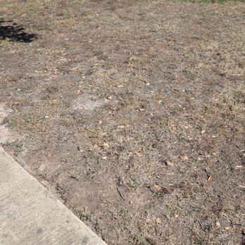 Goodwin & Company - More dead grass - Property Management Near Me - Austin, Texas