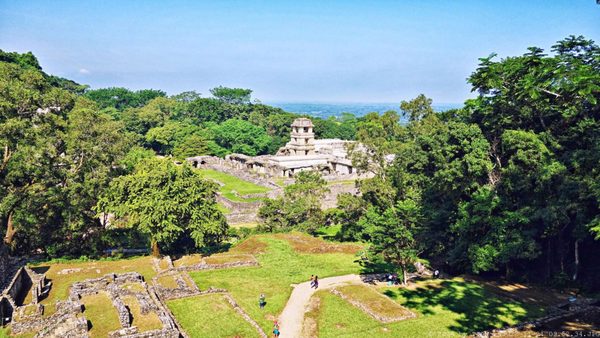 Palenque Temple of Inscriptions by null