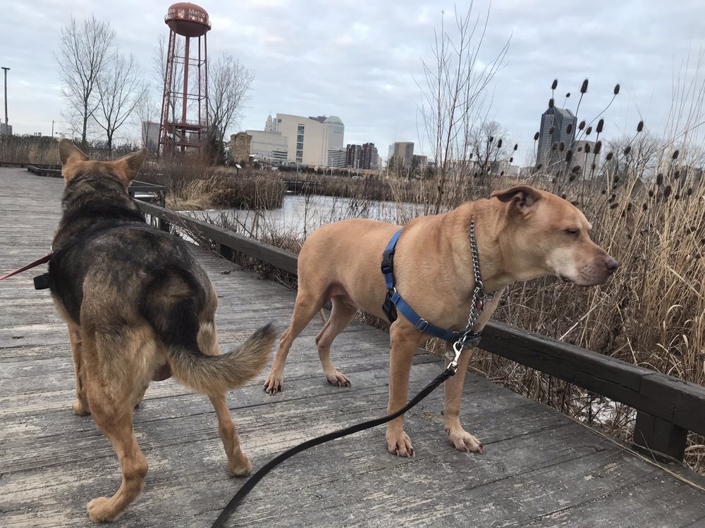 Scioto Audubon Metro Park