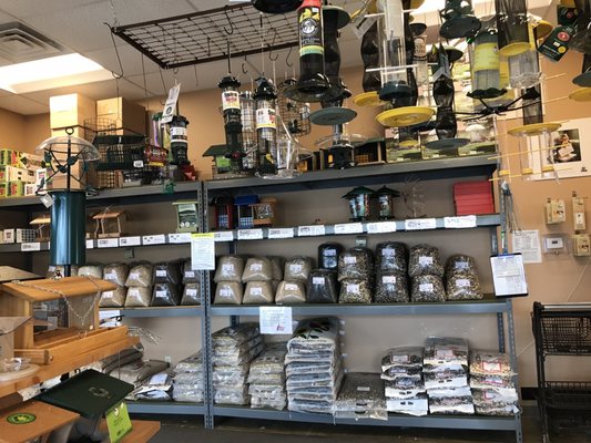 For The Wild Birds by null