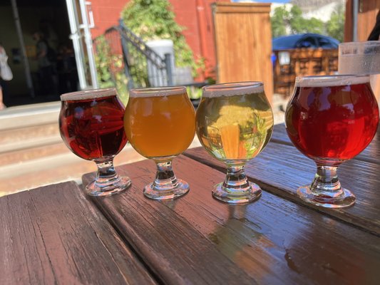 Mountain Toad Brewing by null