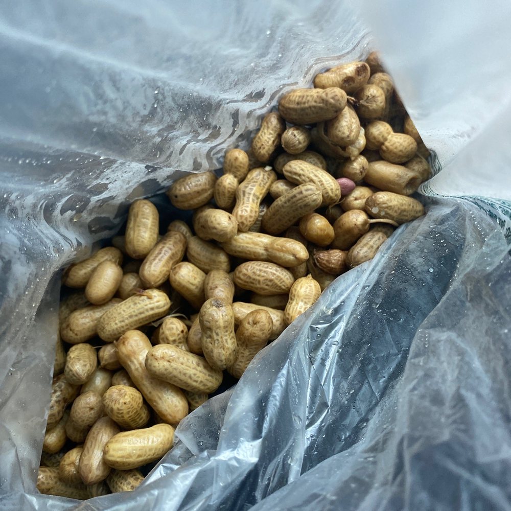 Ringo's Produce - boiled peanuts $3.49 lb - Fruits & Veggies Near Me - Eastover, South Carolina Ringo's Produce - boiled peanuts $3.49 lb - Fruits & Veggies Near Me - Eastover, South Carolina