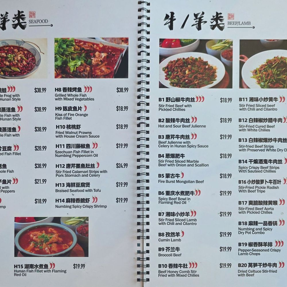 Spicy Dragon - Chinese Near Me - Sacramento, California