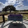 Photo of Luling Lavender Fields