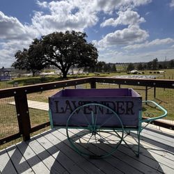 Luling Lavender Fields