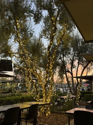 dan modern chinese - topanga village by null