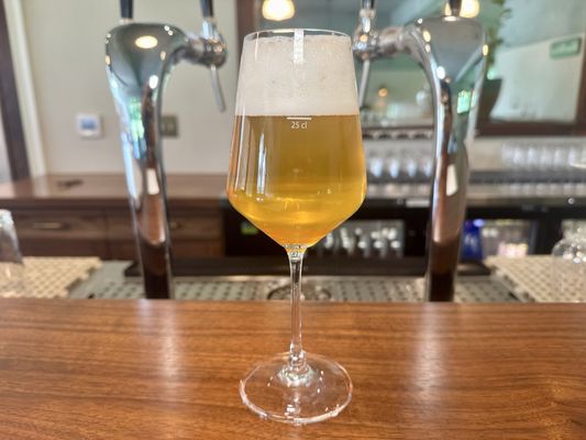 Suarez Family Brewery by null