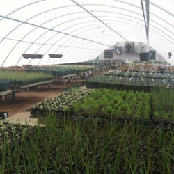 Eaton Grove Landscape & Nursery