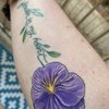 ILL State Ink gift card