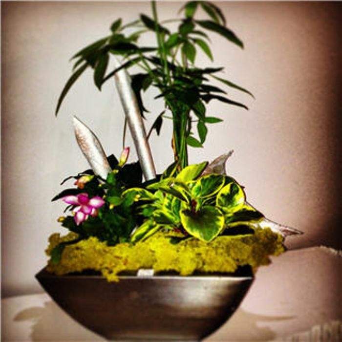 BELLAMY FLOWERS Updated August 2024 29 Photos 20 Polonia Avenue