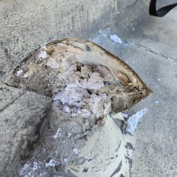 Dr Dryer Duct - 20+ years of duct neglect - Air Duct Cleaning Near Me Dr Dryer Duct - 20+ years of duct neglect - Air Duct Cleaning Near Me