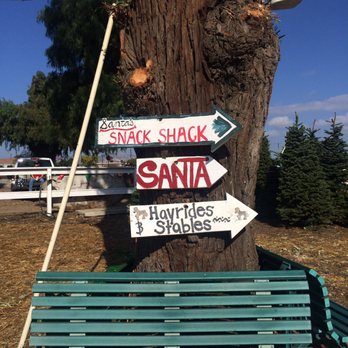 Hagle Christmas Tree Farm - Christmas Trees Near Me - Somis, California Hagle Christmas Tree Farm - Christmas Trees Near Me - Somis, California