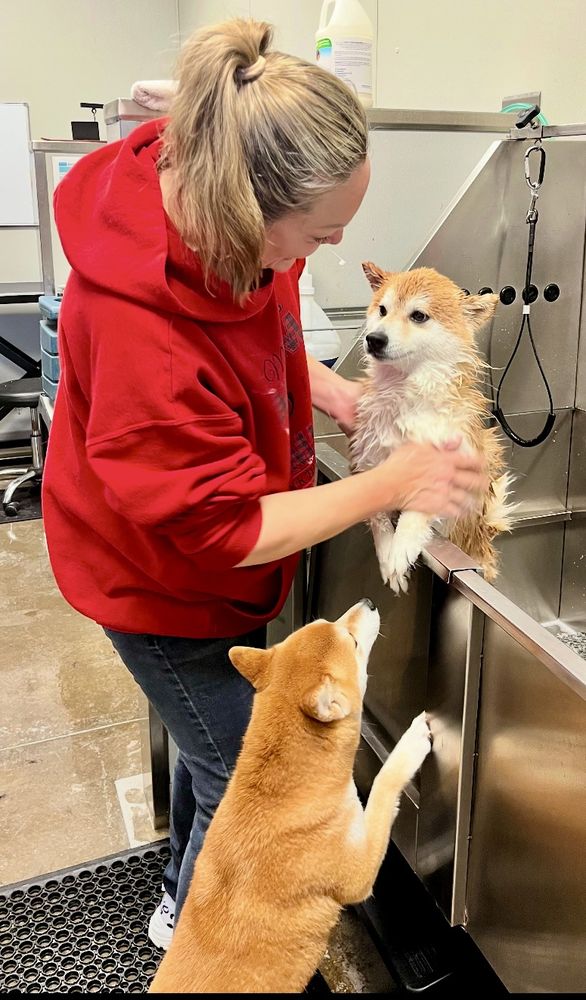 Hearts And Paws Grooming & Boarding Logo