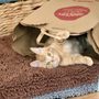 South Clackamas Veterinary Service