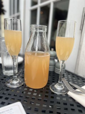 Poogan's Porch by null