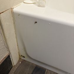 Quality Inn Duncan Spartanburg West - Roaches and mold