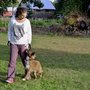 Corbie's Dog Training
