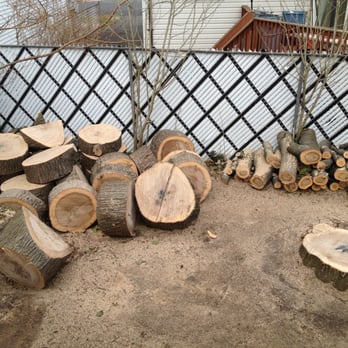 Treeminator Tree Service - cut down to the tree stump with pieces neatly arranged - Tree Services Near Me Treeminator Tree Service - cut down to the tree stump with pieces neatly arranged - Tree Services Near Me