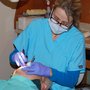 Photo of Roman M Dziubyk, DDS