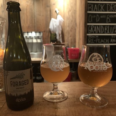 Strange Roots Experimental Ales by null