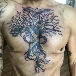 Kyle/ Tree of Life