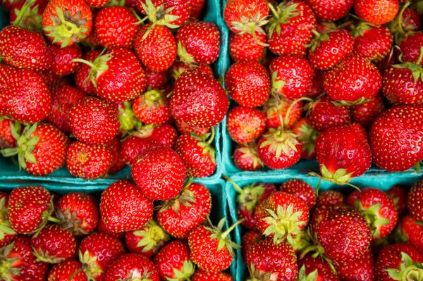 Printers Row Farmers Market by null