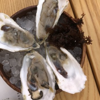 Martina - Oysters - Argentine Near Me - Minneapolis, Minnesota Martina - Oysters - Argentine Near Me - Minneapolis, Minnesota