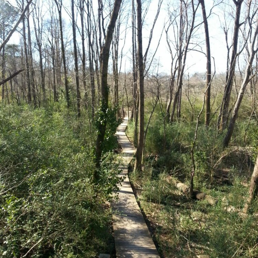 Morningside Nature Preserve - Parks Near Me - Atlanta, Georgia Morningside Nature Preserve - Parks Near Me - Atlanta, Georgia