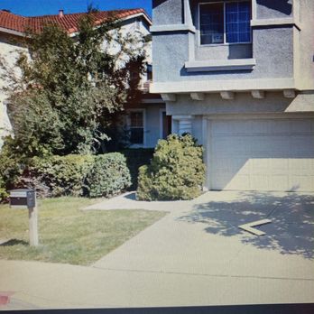JMV Tree Service - Before - Tree Services Near Me - Hayward, California JMV Tree Service - Before - Tree Services Near Me - Hayward, California