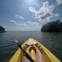 Photo of Sunshine Watersports