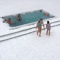 The Pool Guys