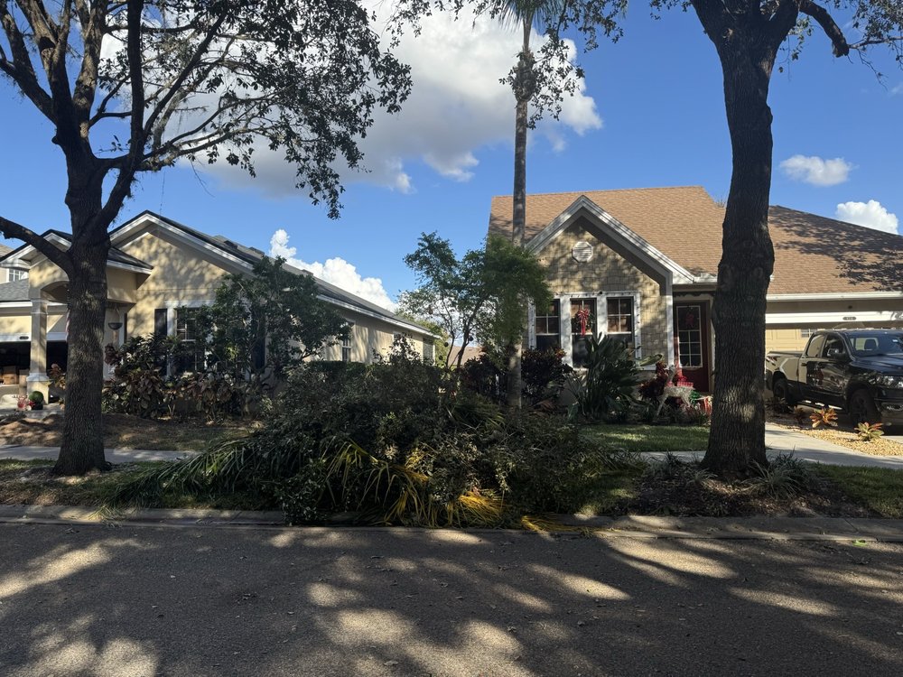 A Baker's Tree Service - tree service in Tampa, FL