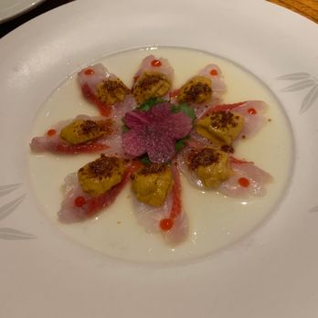Matsuhisa - Sashimi with uni - Sushi Bars Near Me - Denver, Colorado Matsuhisa - Sashimi with uni - Sushi Bars Near Me - Denver, Colorado