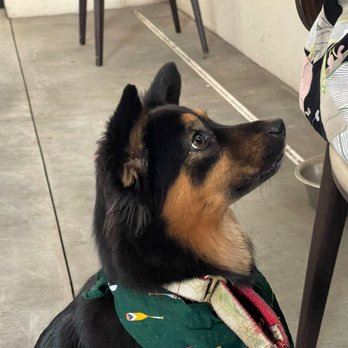 Max’s Happy Paws Grooming - Pet Groomers Near Me - Alhambra, California Max’s Happy Paws Grooming - Pet Groomers Near Me - Alhambra, California