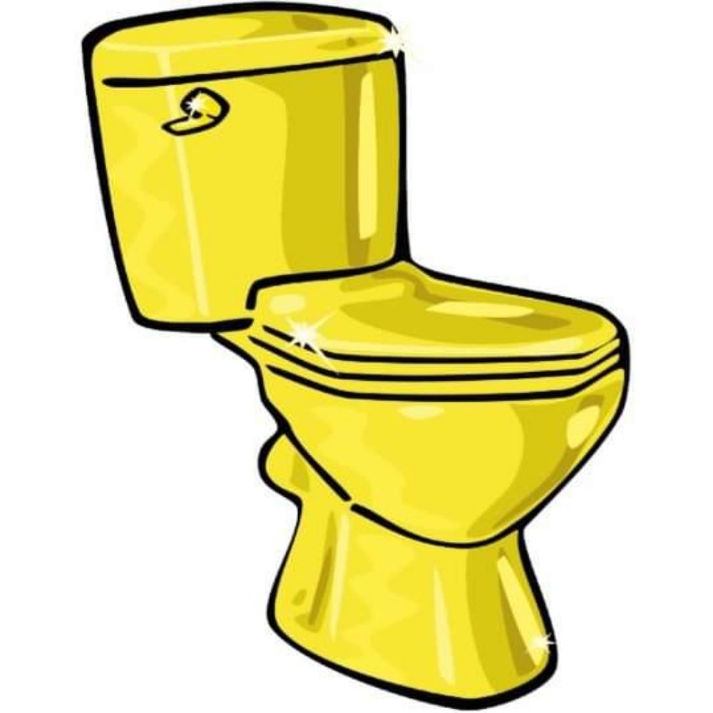 Slide of Golden Throne Plumbing