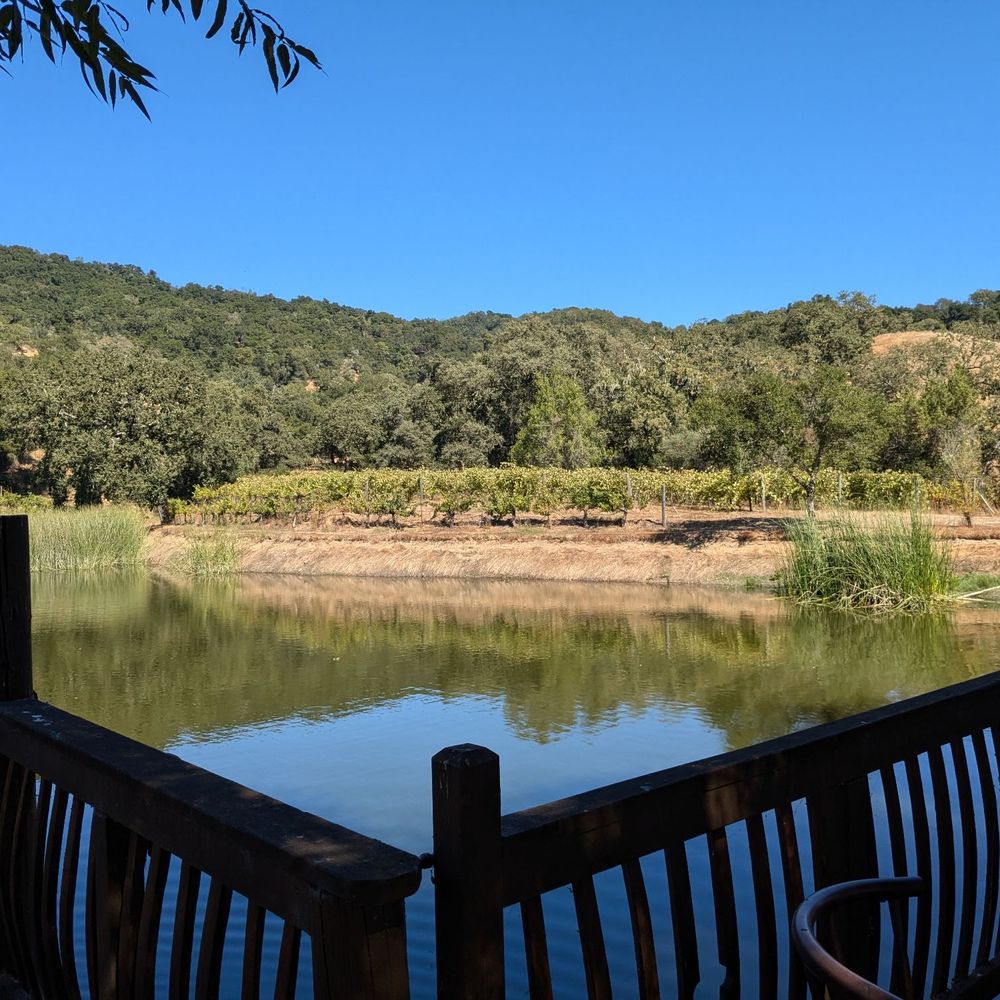 Martin Ranch Winery - Pond - Wineries Near Me - Gilroy, California