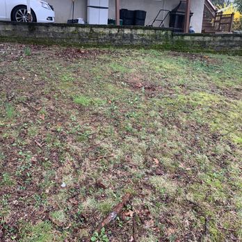 C. Chalker & Son Landscaping - The Before - Landscaping Near Me C. Chalker & Son Landscaping - The Before - Landscaping Near Me