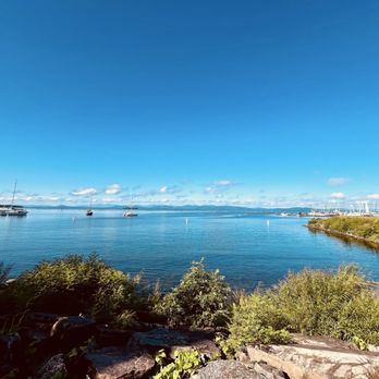 Maven - Lake Champlain - A photograph captures Lake Champlain with a wide expanse of calm water, several boats anchored or sailing, and a bright blue sky with scattered clouds. The shoreline in the foreground has rocks and green bushes, while the background shows distant land and a marina with sailboats. The scene is outdoors, emphasizing natural beauty and recreational boating. - Shoe Stores Near Me - Burlington, Vermont